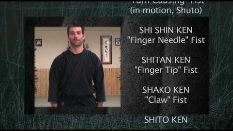 Ninja Training: Hoken Juroppo Ken, HIDDEN FISTS, 8th Kyu, Ninjutsu, Bujinkan