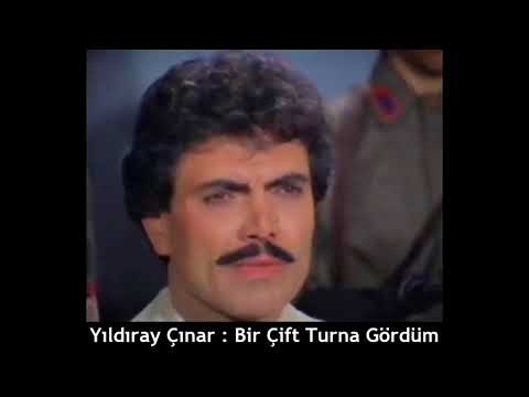 YILDIRAY ÇINAR : BİR ÇİFT TURNA GÖRDÜM