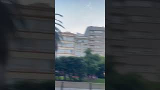 Palm trees in A Coruña
