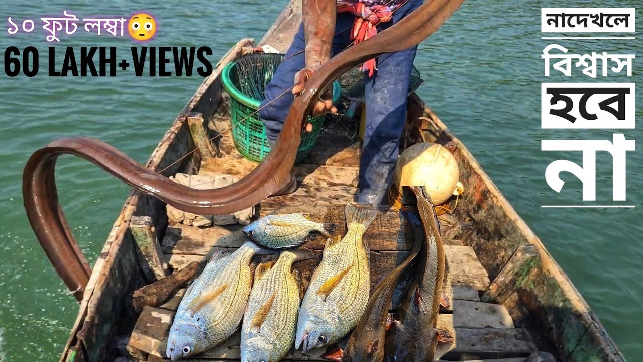 আজ প্রচুর বড় বড় মাছ ধরলাম(১০ফুট লম্বা) দারুন একটি ভিডিও fishing video.