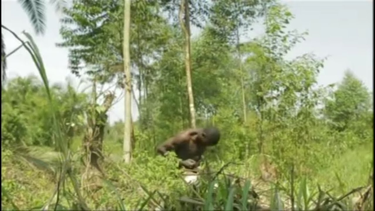 OMUSAMBWA GWA NADIBANGA EPISODE 2