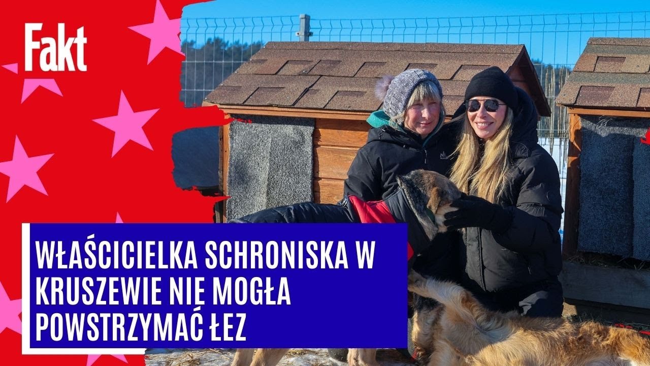 Byliśmy w schronisku Canis. Niewiarygodne, co zastaliśmy. 