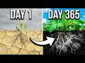 What Happens To Your Garden When You Add Compost Every Single Week For One Full Year