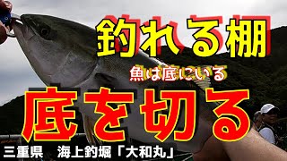 【海上釣堀】「大和丸」2　底の切り方が高釣果のカギ！