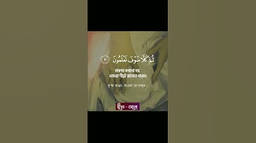 সূরা আত তাকাসুর (سورة التكاثر ) _ Surat At Takathur by  Muhammad Al Muqit(1080P_HD)