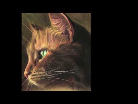 Dibujo de gato realista en ipad con Apple Pencil y Procreate - Timelapse
