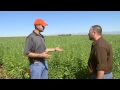 Sesame Production and Weed Control