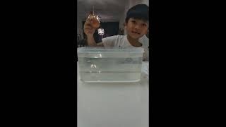 Projek Sains Farhan Eksperimen Objek Tenggelam dan Timbul Projek Sains Farhan Eksperimen Objek Tenggelam dan Timbul