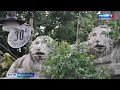 Сколько каменных львов на улицах Севастополя