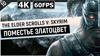 THE ELDER SCROLLS V: SKYRIM | Прохождение Часть 10 - ПОМЕСТЬЕ «ЗЛАТОЦВЕТ» (ANNIVERSARY EDITION)