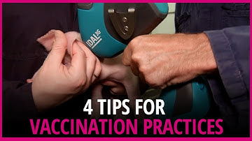 4 tips for good vaccination practices
