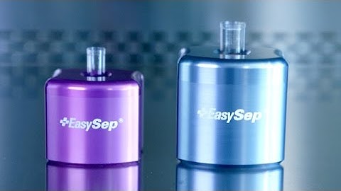 How to Isolate Cells Directly from Whole Blood Using the EasySep™ Purple/Silver Magnets