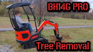Tree Removal with the Groundhog BH14G PRO Mini Excavator.