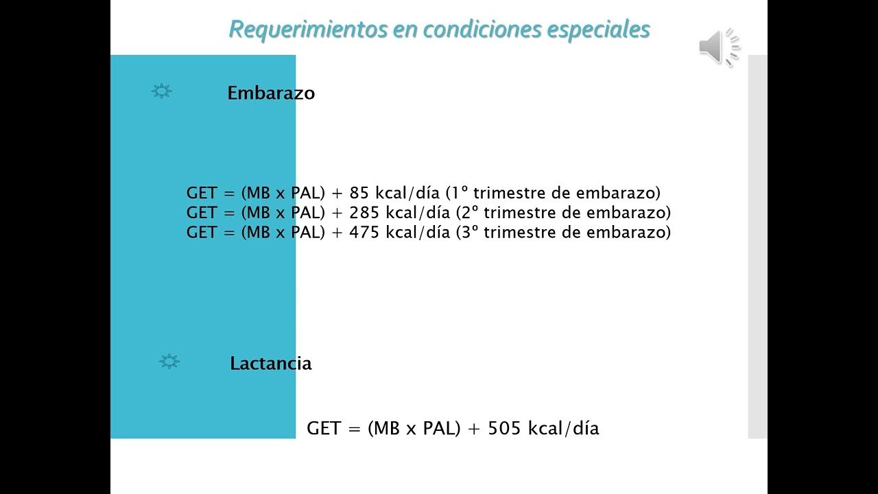 Aspectos Nutricionales Requerimientos Conceptos y Cálculos 2024 con