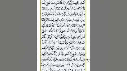 سورة يس تلاوة صلاح الهاشم