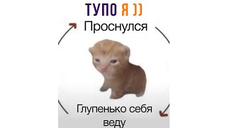 ТУПО Я ))) | Приколы с котами | Мемозг 1323