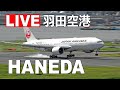 羽田空港ライブ配信 (11月1日AM) - Haneda Airport Live on November 1, 2020