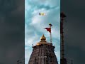 #sanvariya_seth #love #shorts #trending #viral #shortsfeed #petshub #shortsviral #bome #hanumanji