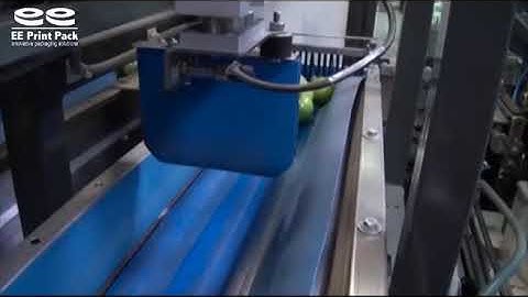 Volmpack VP M14SF Weigher with SF Dual Wicket Bagger