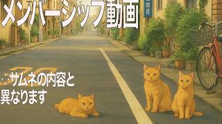 メンバーシップ動画_2023年5月9日（再掲） - YouTube