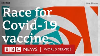 Coronavirus vaccine: The scientists seeking coronavirus solutions - CrowdScience, BBC World Service
