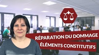 La réparation du dommage - les éléments constitutifs de la responsabilité civile délictuelle - Droit