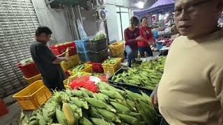 Download Lagu Pedal Rayar Ungak Tinggal  MP3 Download Lagu Pedal Rayar Ungak Tinggal  MP3