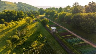 The Gardens at Monticello