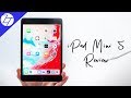 iPad Mini 5 (2019) - The FULL Story (after 30 days of use)