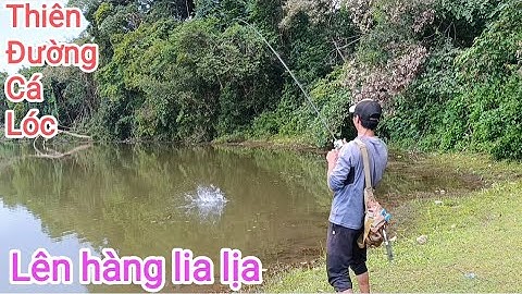 Câu cá lóc_Bãi Thiên Đường lên hàng thật phê @Hữunghị tv