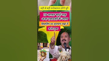 19 अगस्त अजा एकादशी का उपाय कनेर के पुष्प को शिवलिंग पर चढाना है💯#katha#upay #pradeepmishra