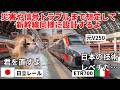 【短命運行】370億円の損失を出したオランダの高速鉄道の末路#猫マニ #猫ミーム