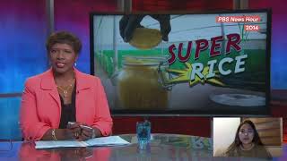 Module 5 Post Task: GMO Campaign/Advertisement Video in Molecular Biology (Lecture)