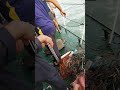 INDIAN NAVY
