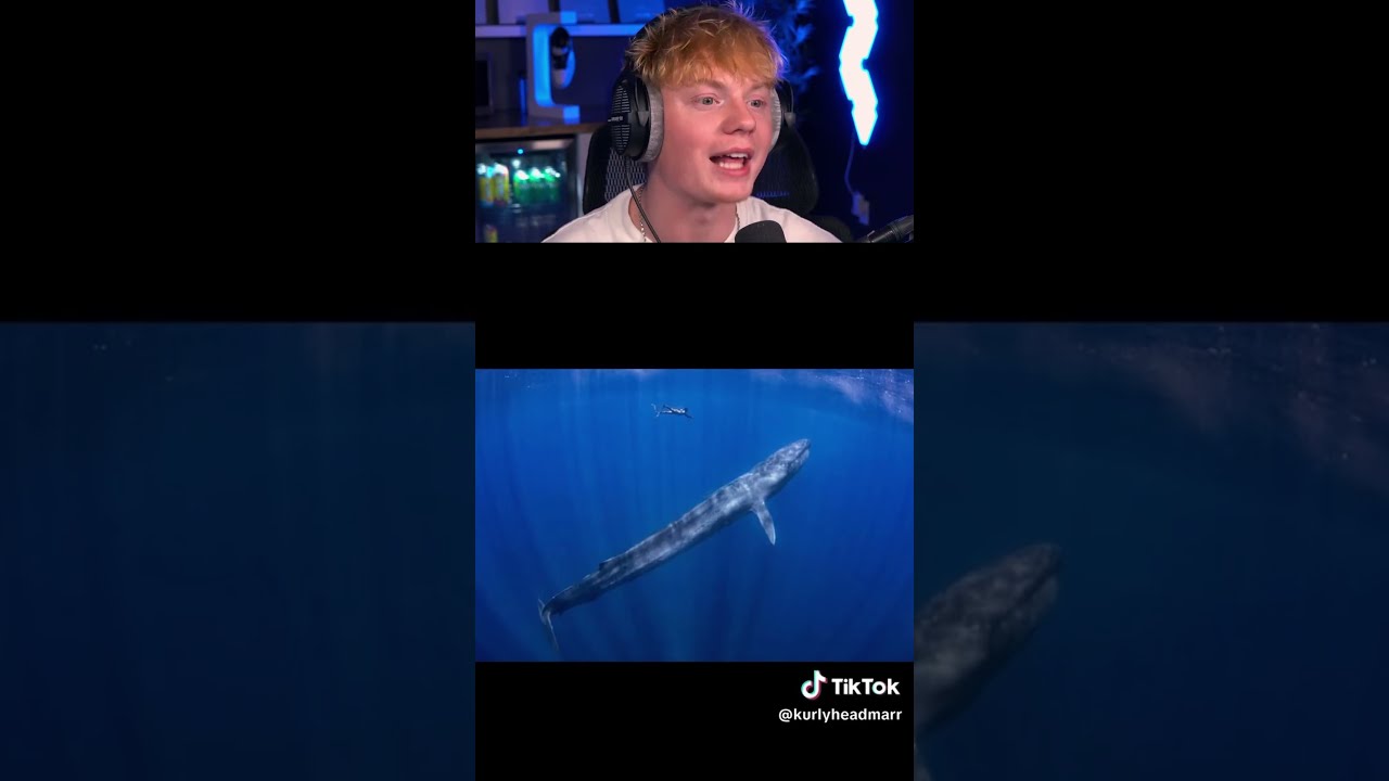 Things That Are Larger Than You Think 