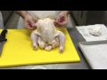 Chicken Fabrication 1