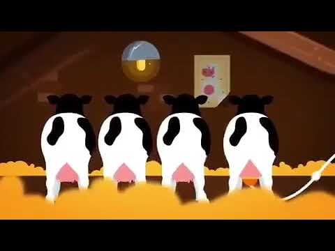 جنتلمن ساسی 