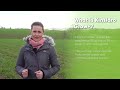 An introduction to kinsidro grow a novel biostimulant for use in cereals