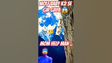 😢 Emotional Wolf Rescue Story 🐺 | Heart-Touching Moment on K2 Mountain ❄️ | @NiceAlones #shorts