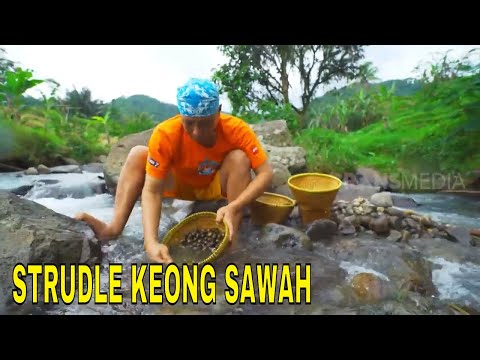 STRUDLE KEONG SAWAH | JEJAK SI GUNDUL (09/02/23(