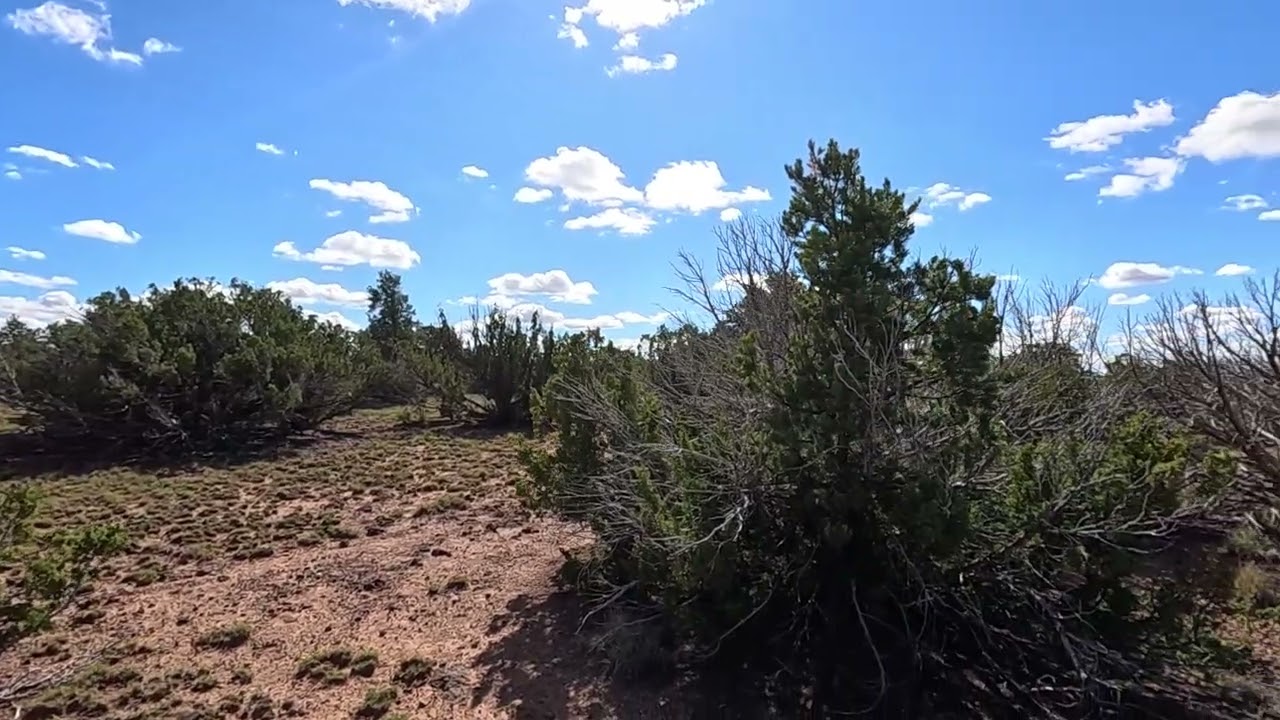 1.17 Acres in Show Low, AZ 201-04-121