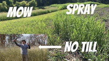 SWITCHGRASS FAILS: 2 screwups...1 success! Priceless lessons in switchgrass prep and planting!!!