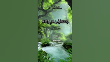 القارئ محمد الفقيه.  سورة النساء