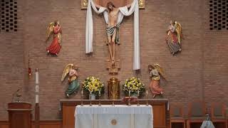8:00am Mass from Holy Cross Catholic Church (May 19, 2026)