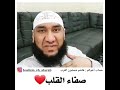 صفاء القلب هاشم شمشون العرب 