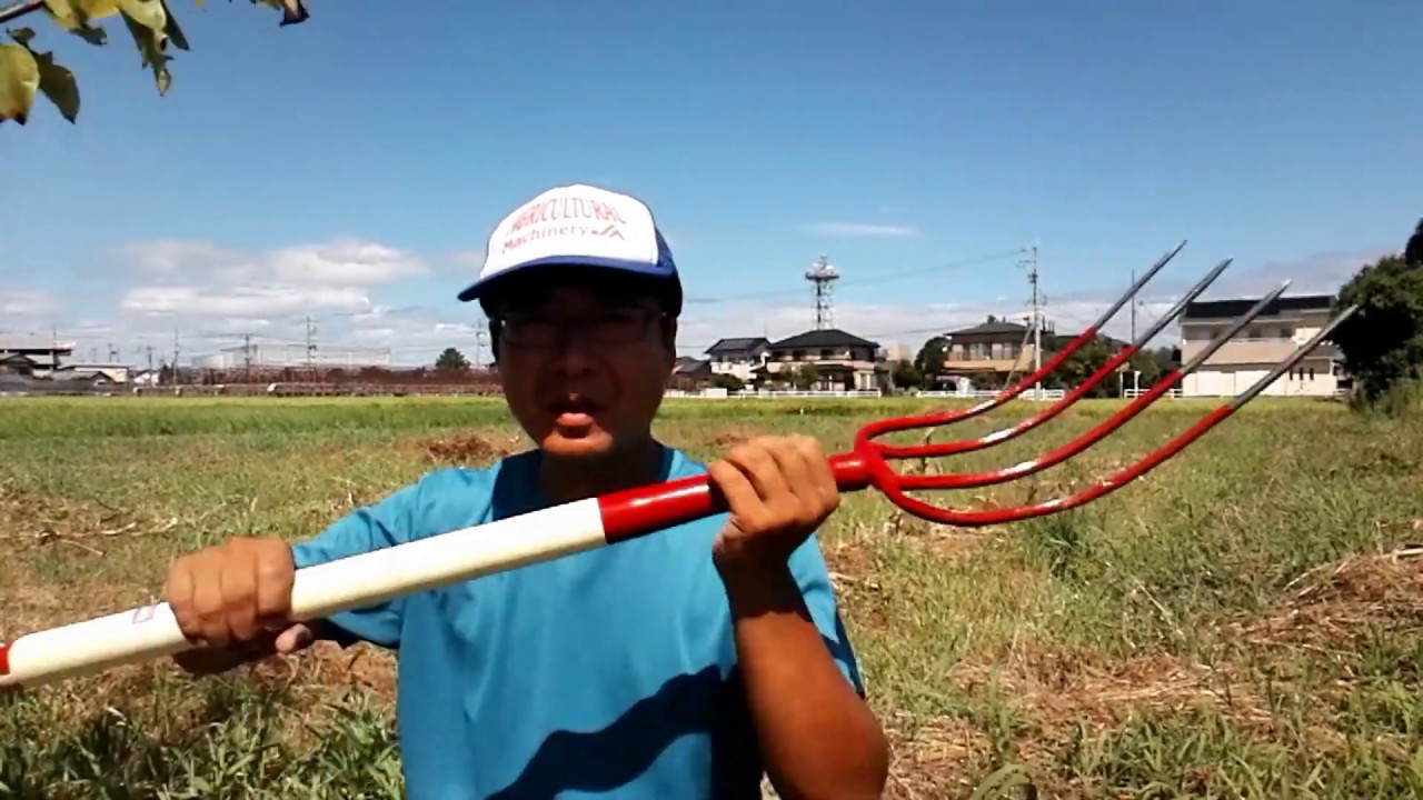 Turning nearly abandoned farmland into farmland No.59 - YouTube