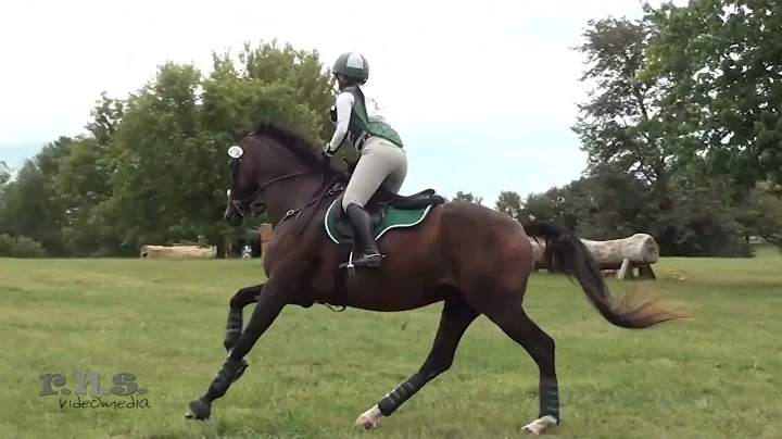 Kathryn Richardson & Mr. Brightside Park Equine Ke...
