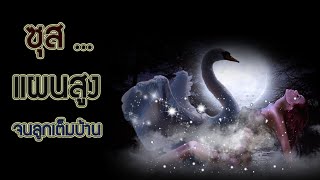 ตำนานเทพกรีก ตอน 7: ลูกซุสกับมนุษย์ ไดโอนีซุส เฮเลน พอลลักซ์ ฯลฯ