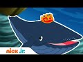 Гоу, Диего, Гоу! | Диего с китёнком спешат на помощь 🐳| Nick Jr. Россия