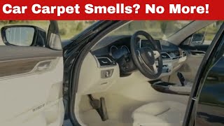 Banish the Funk: How to Get Mildew Smell Out of Your Car’s Carpet Now!